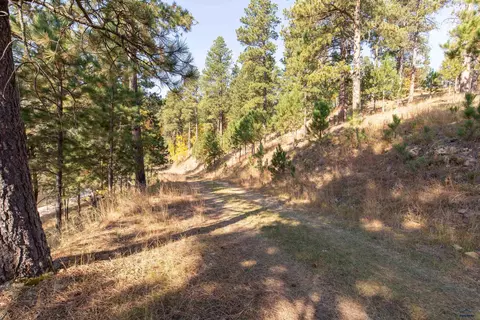 12119 Warren Loop, Sturgis, SD 57785 photo 30