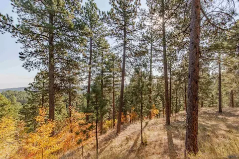12119 Warren Loop, Sturgis, SD 57785 photo 7