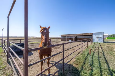 15053 Royal Run, Box Elder, SD 57719 photo 26