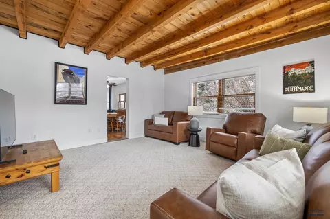 360 Antelope St, Pringle, SD 57773 photo 4