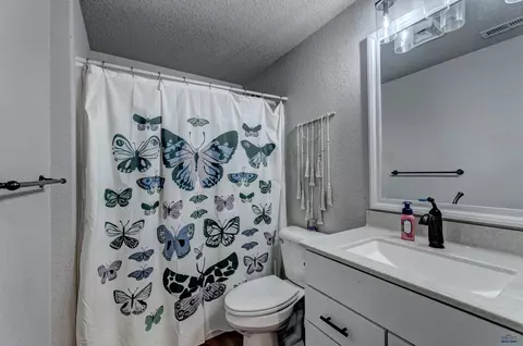 13740 Telluride St, Summerset, SD 57769 photo 33