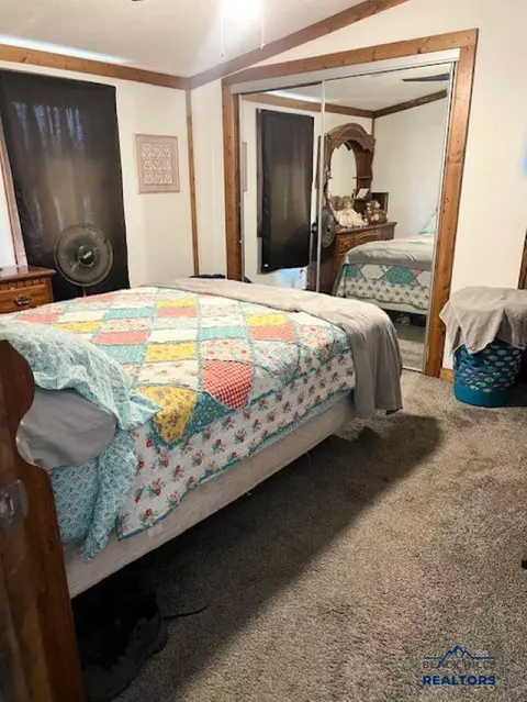211 Other #EAST ROAD, Plankinton, SD 57368 photo 13