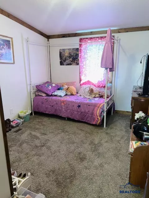 211 Other #EAST ROAD, Plankinton, SD 57368 photo 12