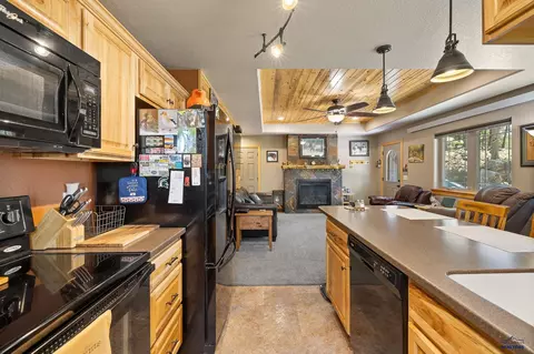 11754 Caledonia Trl, Custer, SD 57730 photo 10