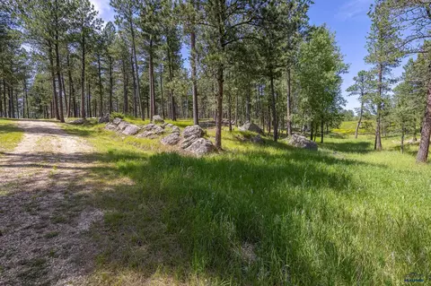 25199 Schnieder Rd, Custer, SD 57730 photo 16