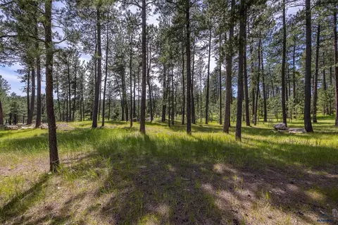 25199 Schnieder Rd, Custer, SD 57730 photo 14