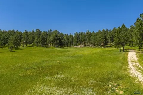 25199 Schnieder Rd, Custer, SD 57730 photo 24