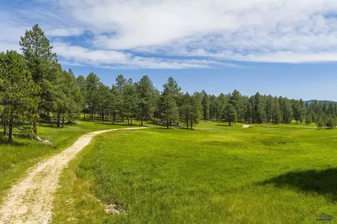 25199 Schnieder Rd, Custer, SD 57730 photo 19