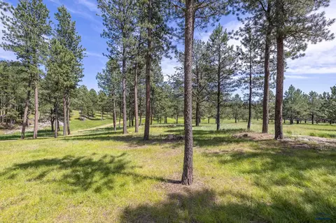 25199 Schnieder Rd, Custer, SD 57730 photo 18