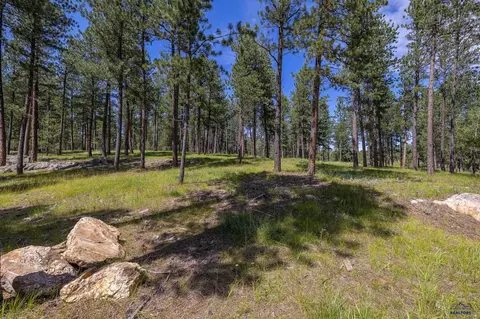 25199 Schnieder Rd, Custer, SD 57730 photo 17