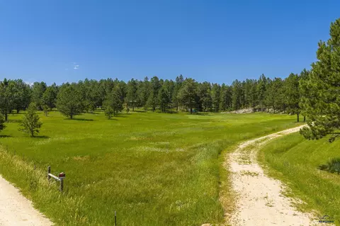 25199 Schnieder Rd, Custer, SD 57730 photo 26