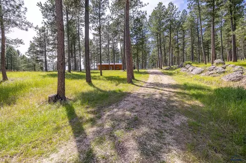 25199 Schnieder Rd, Custer, SD 57730 photo 29