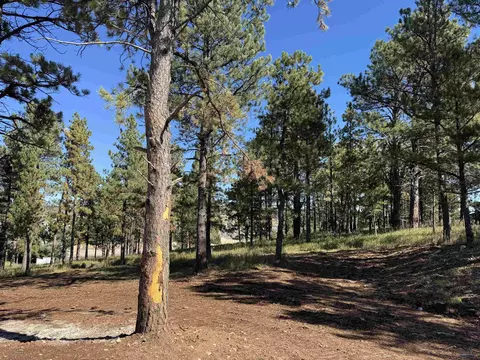 9508 Waldan Ln, Summerset, SD 57718 photo 14