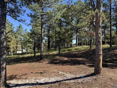 9508 Waldan Ln, Summerset, SD 57718 photo 13