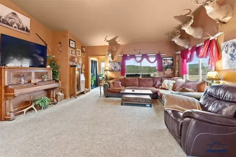 24370 Talon Rd, Keystone, SD 57751 photo 12