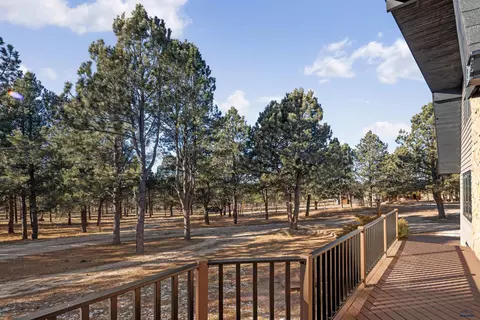 25389 Mccurran Ranch Rd #JUST OFF SIDNEY PARK ROAD, Custer, SD 57730 photo 32