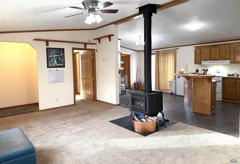 Other - 322 4th, Smithwick, SD 57782 photo 1 of 12