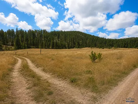 Other - 12458 Waterwheel Ln, Nemo, SD 57759 photo 4 of 15