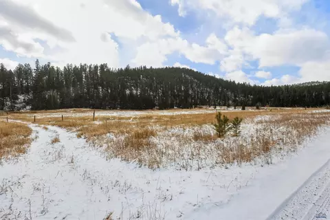 Other - 12458 Waterwheel Ln, Nemo, SD 57759 photo 5 of 18