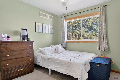 6009 W Elm Ct, Black Hawk, SD 57718 photo 16
