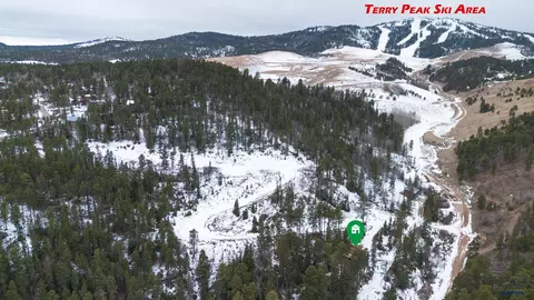 Other - 21120 Gilded Mountain Rd #TERRY GULCH ROAD, Lead, SD 57754 photo 7 of 8