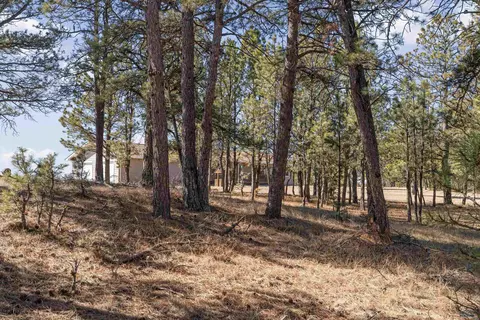 Exterior - 11981 Mountain Lion Ln, Hot Springs, SD 57747 photo 5 of 7