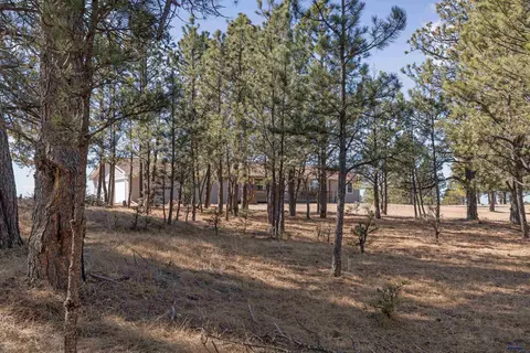 Exterior - 11981 Mountain Lion Ln, Hot Springs, SD 57747 photo 6 of 7