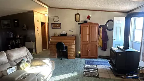 Other - 310 Truman Rd, Edgemont, SD 57735 photo 7 of 12