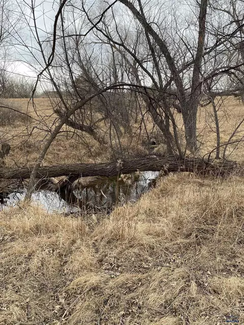 Other - 20324 Avalanche Rd, Sturgis, SD 57785 photo 9 of 17