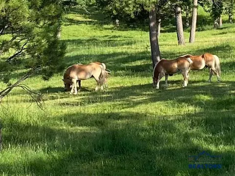 Other - 20842 Legacy, Sturgis, SD 57785 photo 1 of 8
