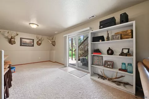 Other - 13558 Frontier Loop, Piedmont, SD 57769 photo 10 of 11