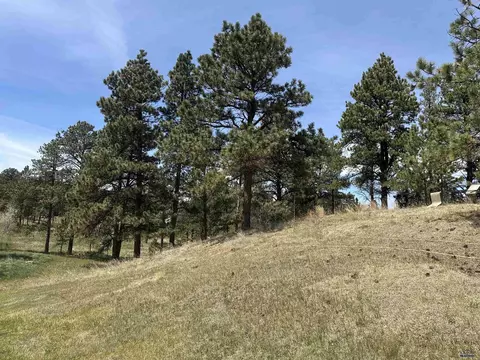 Other - 13558 Frontier Loop, Piedmont, SD 57769 photo 4 of 11