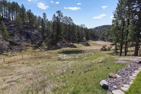 25584 Hwy 16 And 385 S, Custer, SD 57730 photo 7