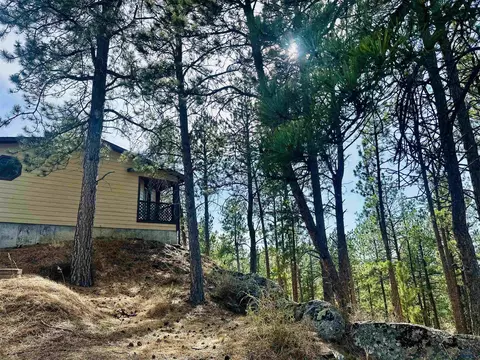 Exterior - 12127 Chickadee Ln, Custer, SD 57730 photo 5 of 15