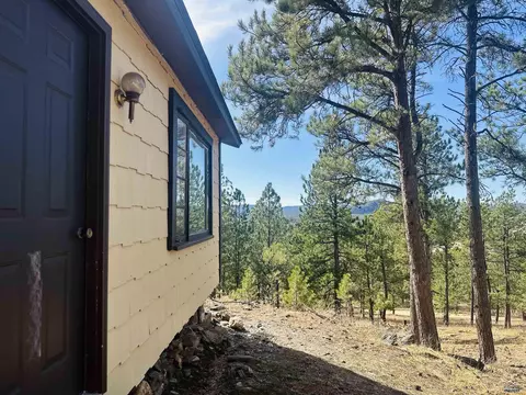 Exterior - 12127 Chickadee Ln, Custer, SD 57730 photo 15 of 15