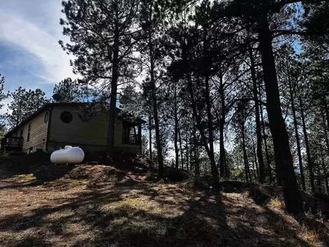 Exterior - 12127 Chickadee Ln, Custer, SD 57730 photo 12 of 15