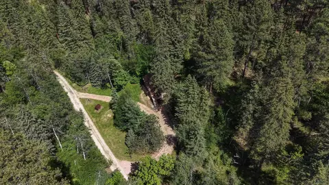 432 Lafferty Gulch Rd, Keystone, SD 57751 photo 31
