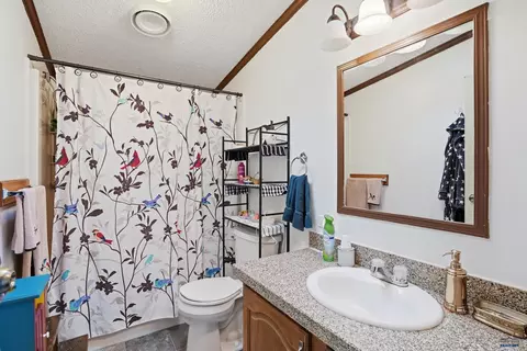 Bath - 1332 Spearfish Mountain Ln, Spearfish, SD 57783 photo 3 of 4
