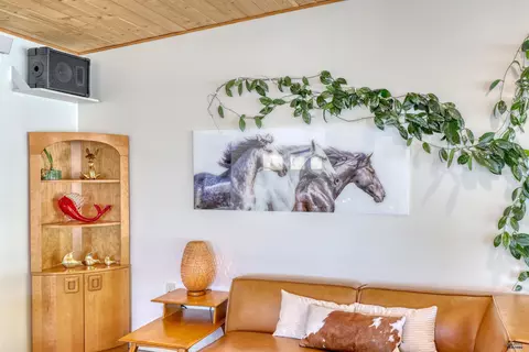 Living - 12730 Nemo Rd, Nemo, SD 57759 photo 2 of 11