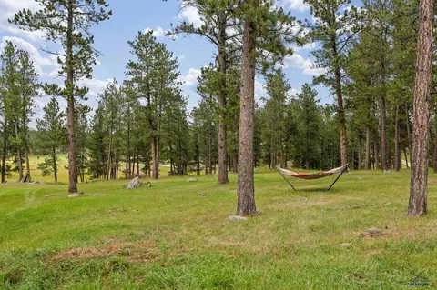Exterior - 12378 Tin Cup Trl, Custer, SD 57730 photo 4 of 6