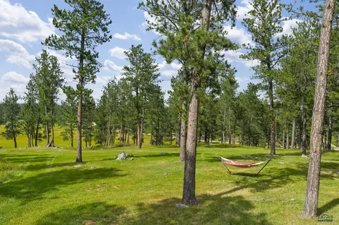 Exterior - 12378 Tin Cup Trl, Custer, SD 57730 photo 5 of 6