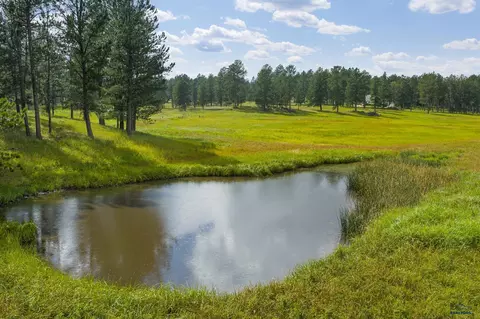 View/Area - 12378 Tin Cup Trl, Custer, SD 57730 photo 1 of 3