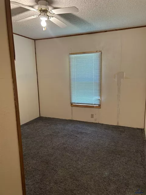 209 Pierre #PIER RE STREET, Vale, SD 57788 photo 4