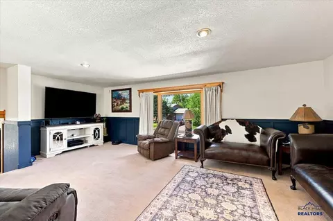 Living - 12301 Ruby Rd, Black Hawk, SD 57718 photo 3 of 5