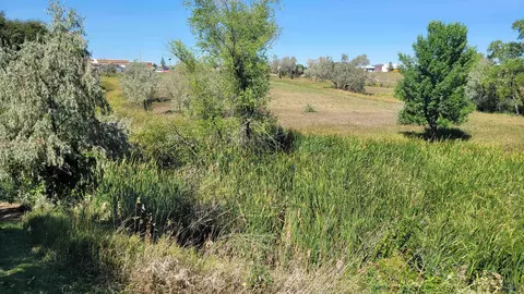 View/Area - 509 Trail Dr, Box Elder, SD 57719 photo 1 of 1