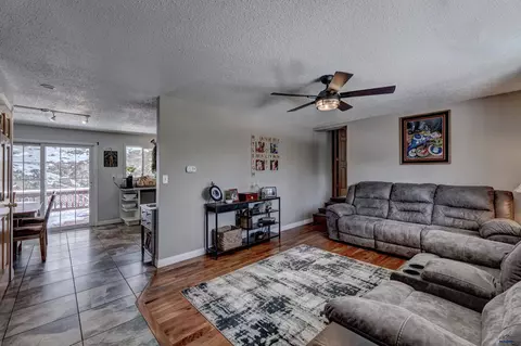 239 Deer Path, Lead, SD 57754 photo 4