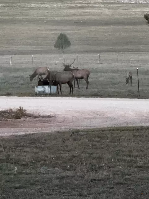 Other - 25755 Dewey Rd, Edgemont, SD 57735 photo 19 of 19