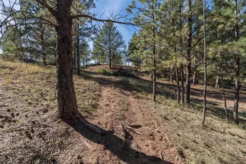 Other - 25755 Dewey Rd, Edgemont, SD 57735 photo 14 of 19
