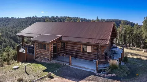 Exterior - 11595 Farmer Rd #WHITE BUFFALO CABIN, Custer, SD 57730 photo 9 of 9