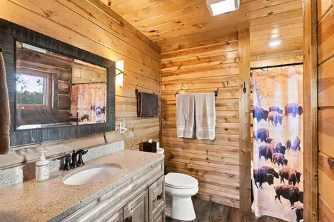 Bath - 11595 Farmer Rd #WHITE BUFFALO CABIN, Custer, SD 57730 photo 2 of 5
